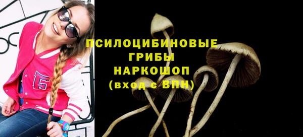 твердый Аркадак