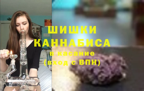 твердый Аркадак