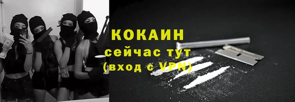 твердый Аркадак
