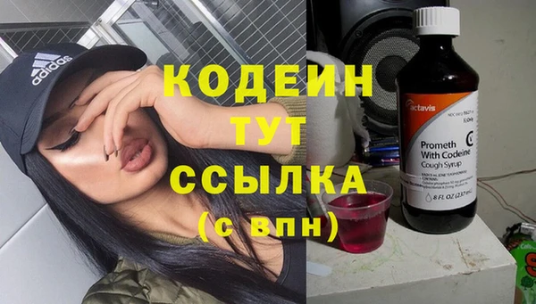 твердый Аркадак