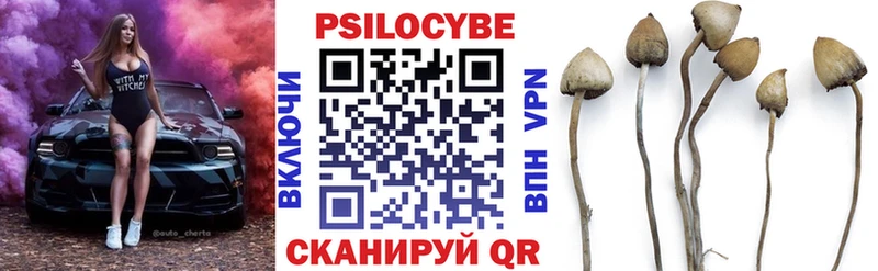 Псилоцибиновые грибы прущие грибы  Ртищево 